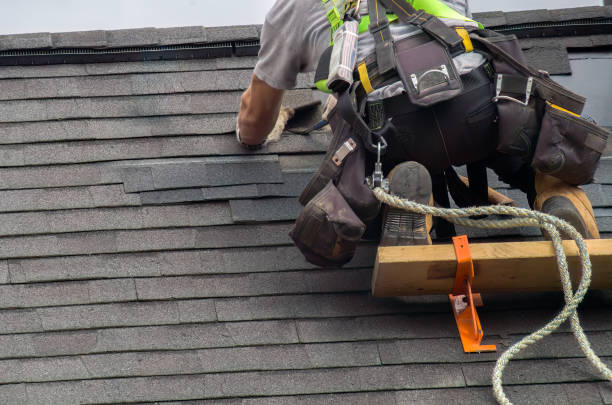 Roof Gutter Cleaning in Eagan, MN