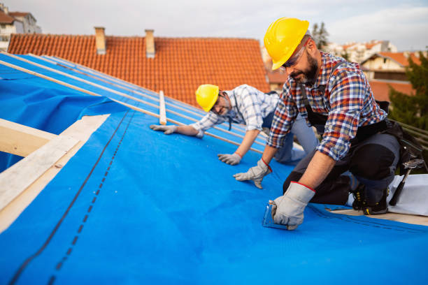 Sealant for Roof in Eagan, MN